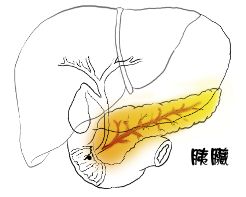 ����䓳��F�����a�S��